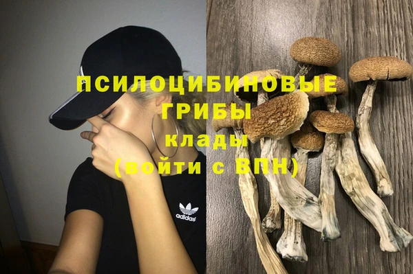 apvp Абдулино