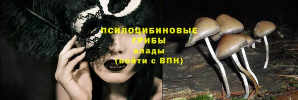 дживик Абаза
