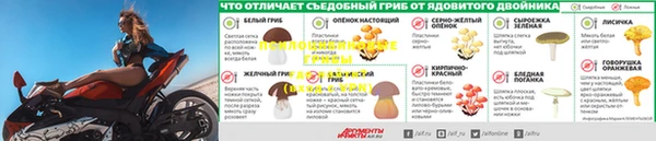 дживик Абаза