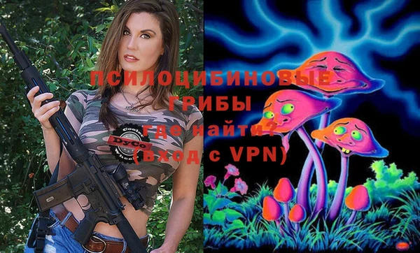 дживик Абаза
